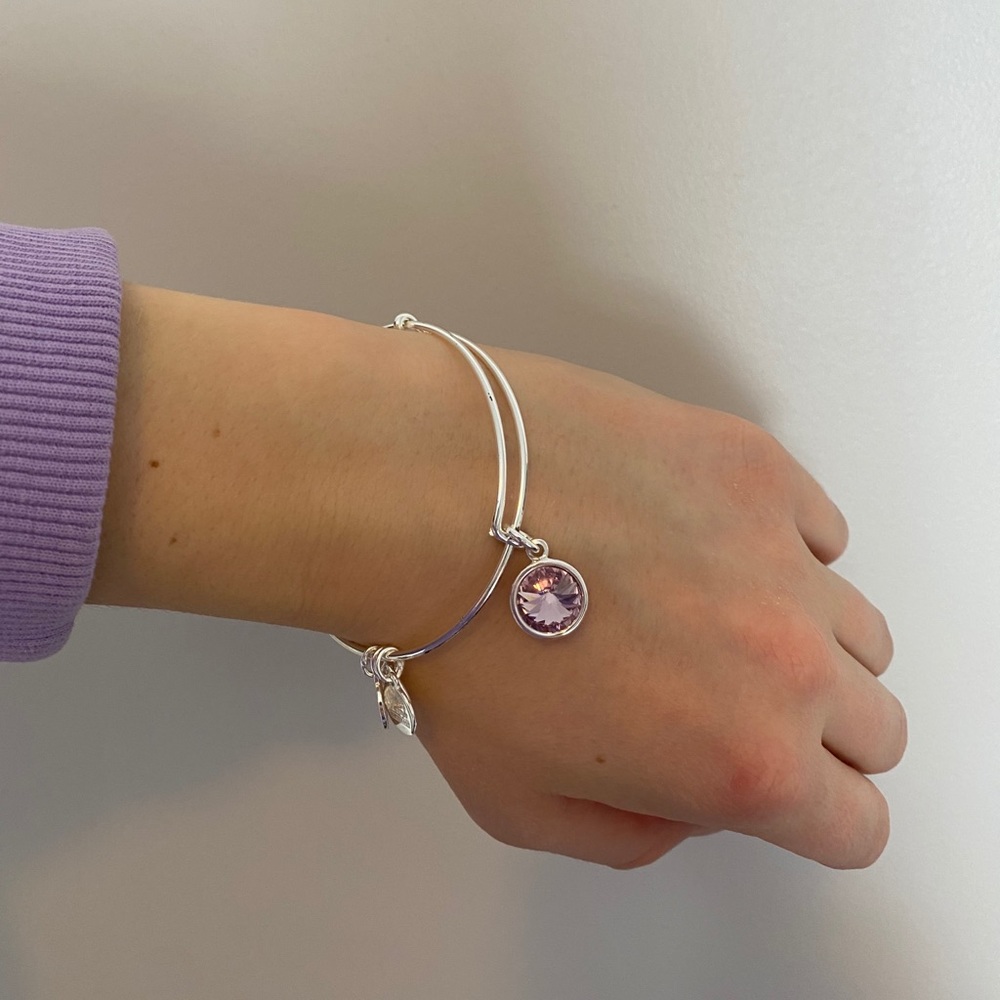 Alex and Ani charm bracelet